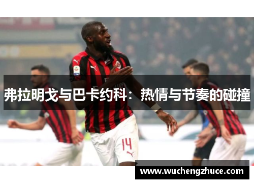 弗拉明戈与巴卡约科：热情与节奏的碰撞