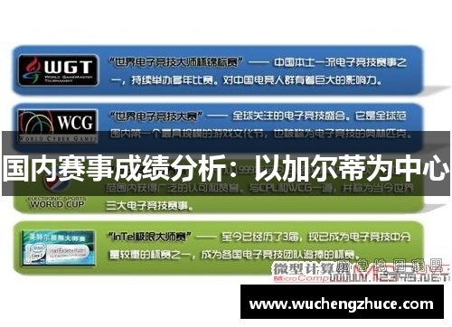 国内赛事成绩分析：以加尔蒂为中心