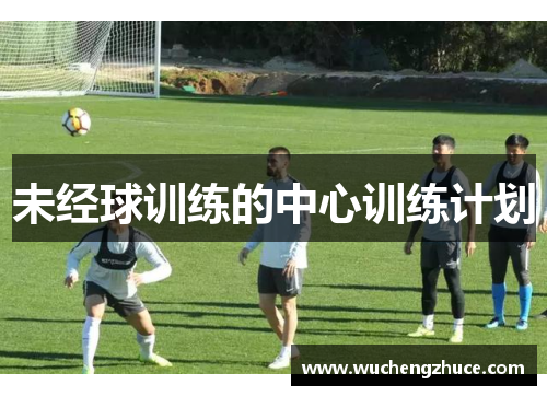 未经球训练的中心训练计划